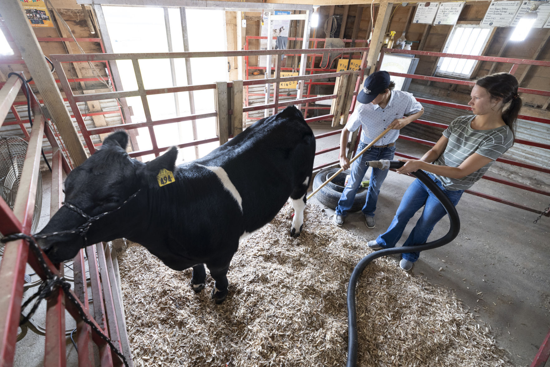 Plymouth County Fair Preview